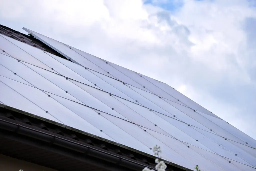 paneles solares